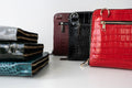Bag'planner. Double zippered leather planner organizer A5.