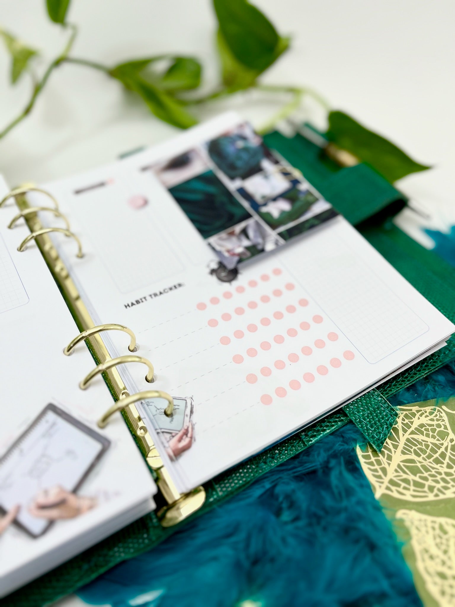 Cyprus,Limassol Green leather planner A5