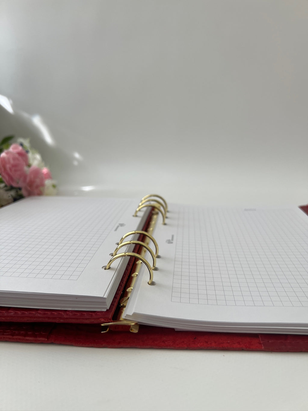 Cyprus, Limassol. Red leather planner A5.