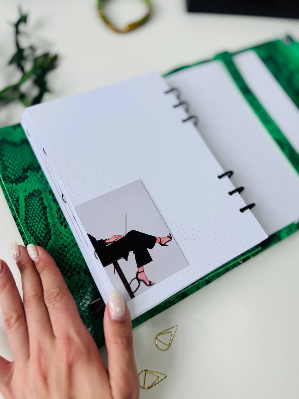 Snake Leather Planner notebook cover A5, Leather Bullet Journal,Leather Sketchbook,Executive Leather Planner,Handmade Leather cover with wallet.